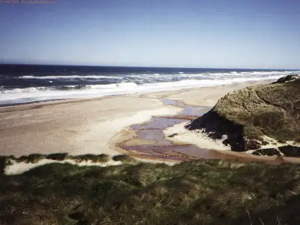 Creek Meets the Sea