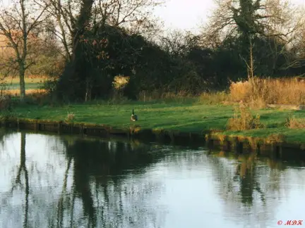Autumn Pond, Oxford