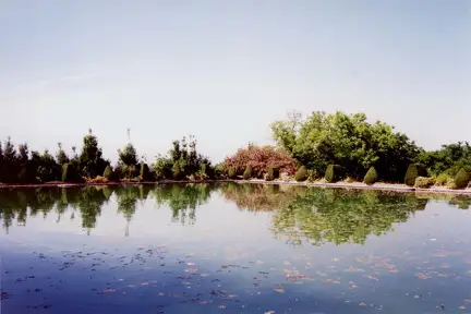 Garden Pond, Portugal
