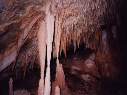 Inside the Cavern