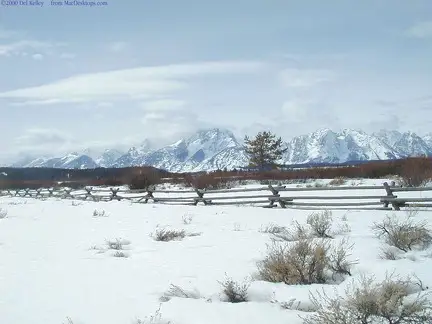 Tetons Beyond the Fence