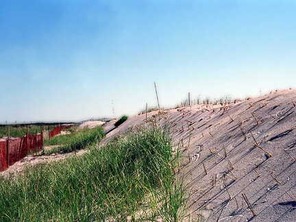Grass on the Dune