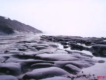 Fog on the Oregon Shore