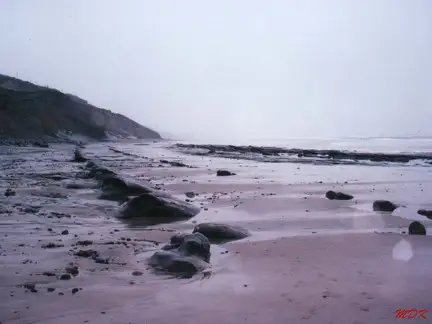 Low Tide in the Mist