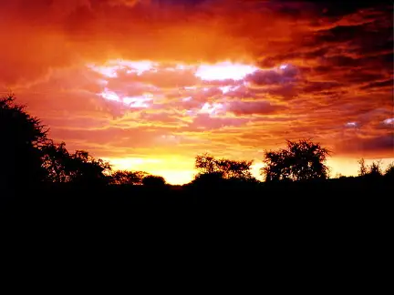 Blazing Sunset