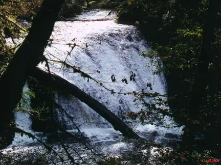Veil of Silver Creek
