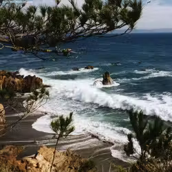 Beaches