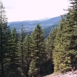 Mountains
