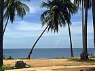 Filename=Beach on Ko Samui.jpg
Filesize=93KiB
Dimensions=832x624
Date added=May 06, 2004 Beach on Ko Samui.jpg