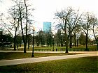 Filename=Boston Common.jpg
Filesize=108KiB
Dimensions=832x624
Date added=May 06, 2004 Boston Common.jpg