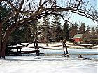 Filename=Farm House.jpg
Filesize=103KiB
Dimensions=832x624
Date added=May 06, 2004 Farm House.jpg