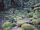 Japanese Garden.jpg