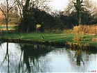 Filename=Oxford_2.JPG
Filesize=105KiB
Dimensions=1024x768
Date added=May 06, 2004 Oxford_2.JPG