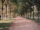 Path to Versailles.jpg