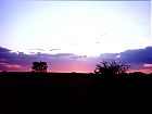 Filename=Purple Blue Skyline.jpg
Filesize=50KiB
Dimensions=832x624
Date added=May 06, 2004 Purple Blue Skyline.jpg