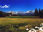 Tuolumne Meadows.jpg